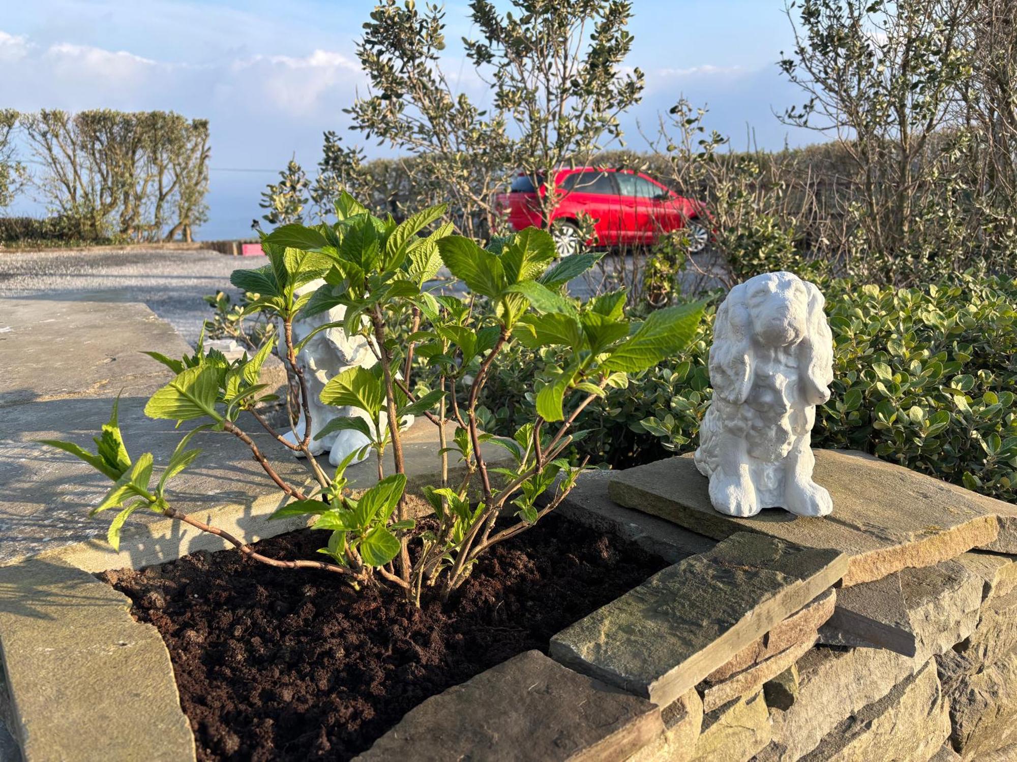 Ocean View Guestrooms Doolin Eksteriør billede